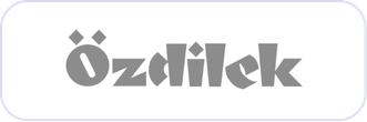 More than <b>+200 global brands</b> trust B2B STORE 1
