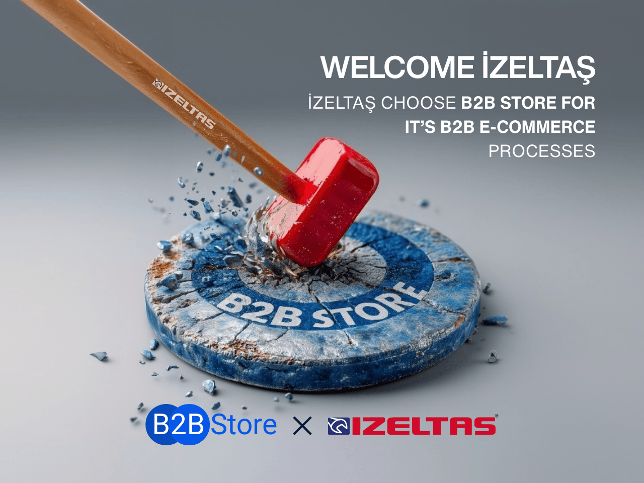 İzeltaş Choose B2B STORE for B2B E-Commerce Processes